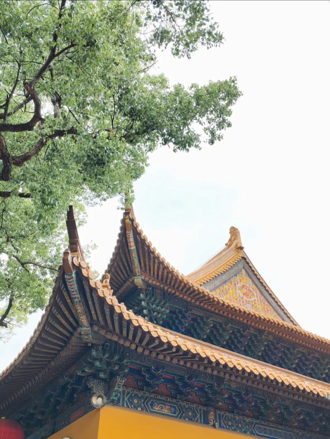 普济寺金顶